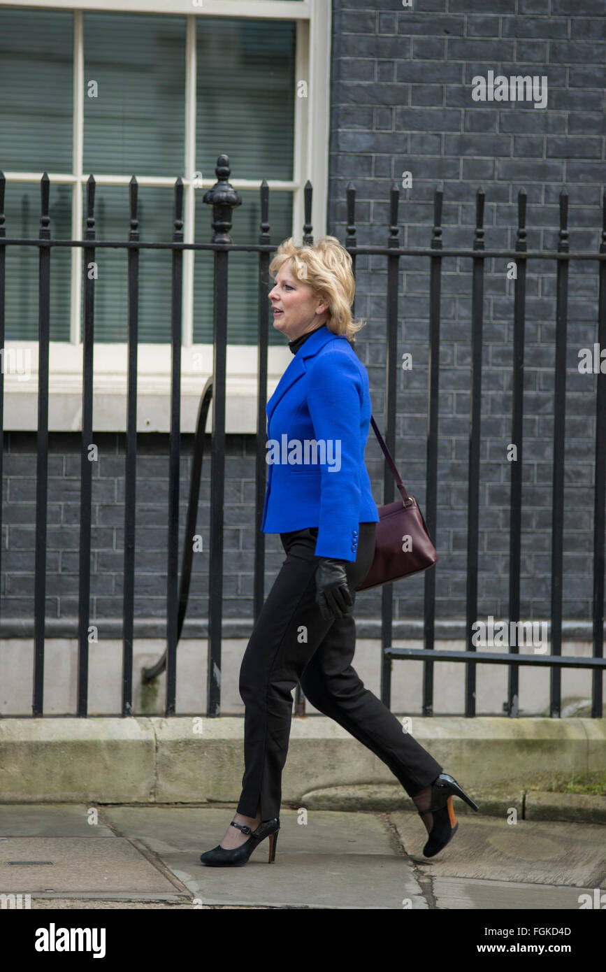 Downing Street, London, UK. 20 Février, 2016. Anna Soubry MP arrive à no10. Les ministres arrivent pour une réunion du cabinet à Samedi n° 10 d'être informés sur les négociations de l'UE. Credit : Malcolm Park editorial/Alamy Live News Banque D'Images