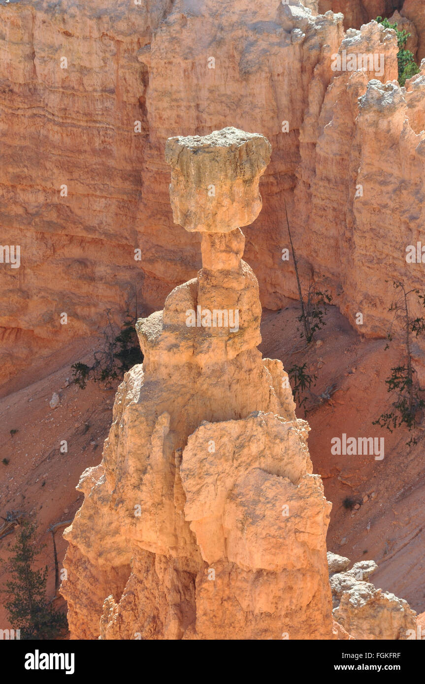 Le marteau de Thor à Bryce Canyon National Park, Utah Banque D'Images