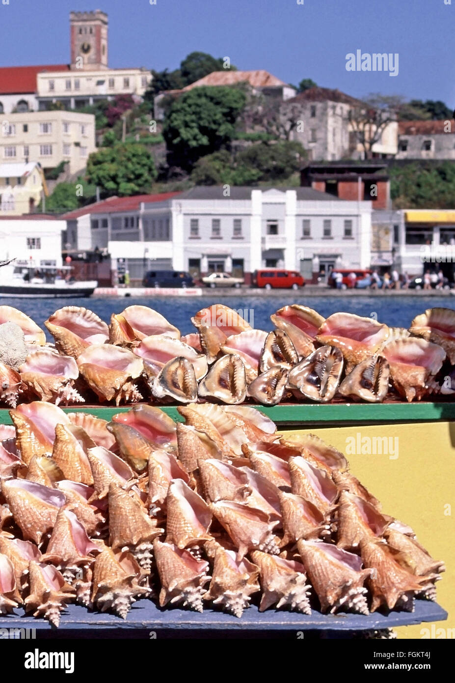 Grenade Caraïbes Port de St Georges dans le marché de la mer des Caraïbes décrochage vendant des coquillages de conques aux touristes arrivant des paquebots de croisière Banque D'Images