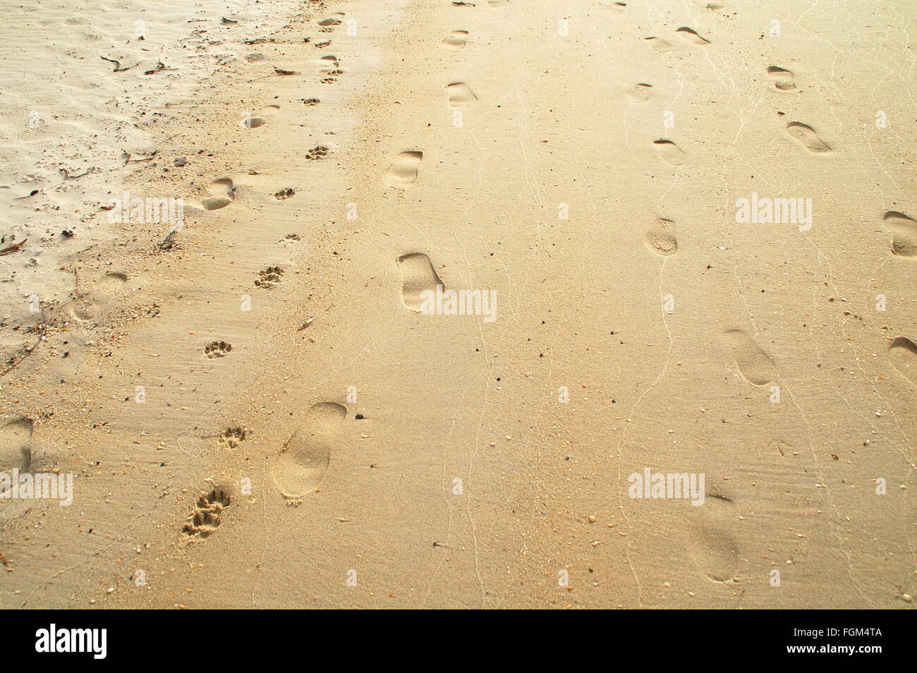 Sable Dune Plage Avec Beaucoup De Traces Et Empreintes D - 