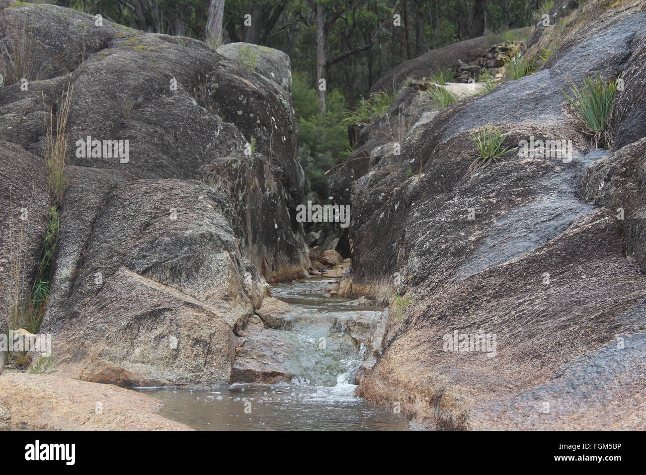 Campagne ruisseau qui à travers les rochers de granit dans un parc national. Banque D'Images