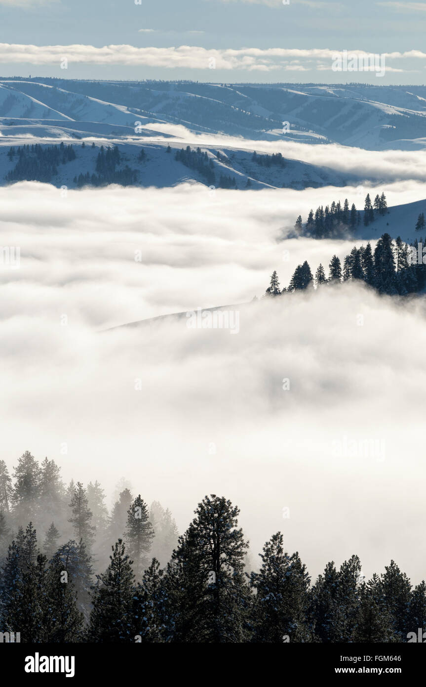 Vallée remplie de brouillard dans les Blue Mountains au nord-est de l'Oregon. Banque D'Images