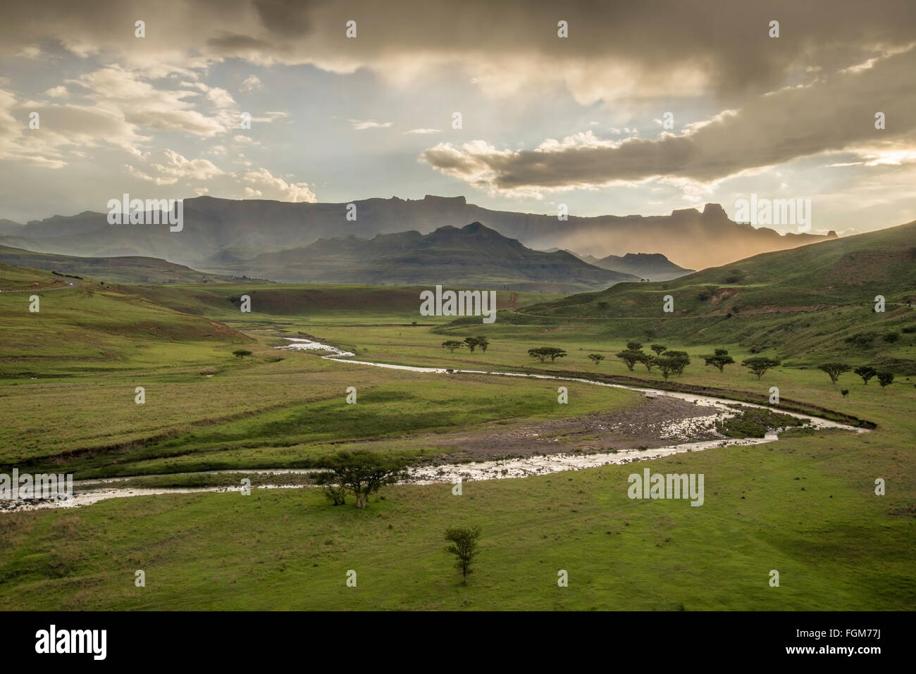 L'amphithéâtre du Drakensberg en Afrique du Sud Banque D'Images