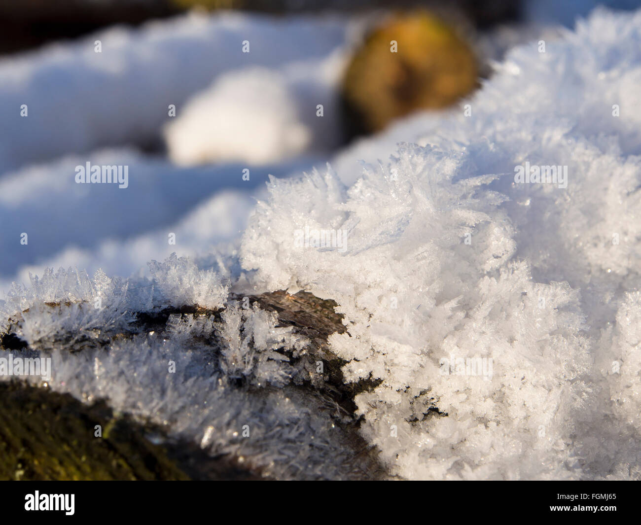 Close up de cristaux de neige en aiguilles sur un journal de bois, l'hiver en Norvège Banque D'Images