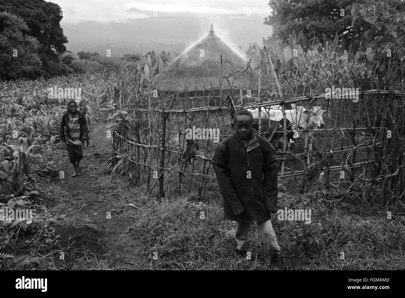 Les jeunes enfants viennent à partir d'une hutte de boue par temps humide avec de la fumée sortant de la maison au toit de chaume. Banque D'Images