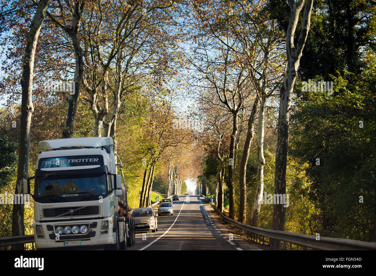 Route de campagne près de Cognac, Charente Maritime France Banque D'Images