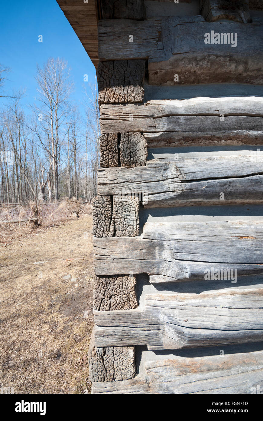 Détail de l'angle journal Osterhout Log Cabin. Construit en 1795 il est le plus ancien bâtiment de Scarborough Ontario Canada. Banque D'Images