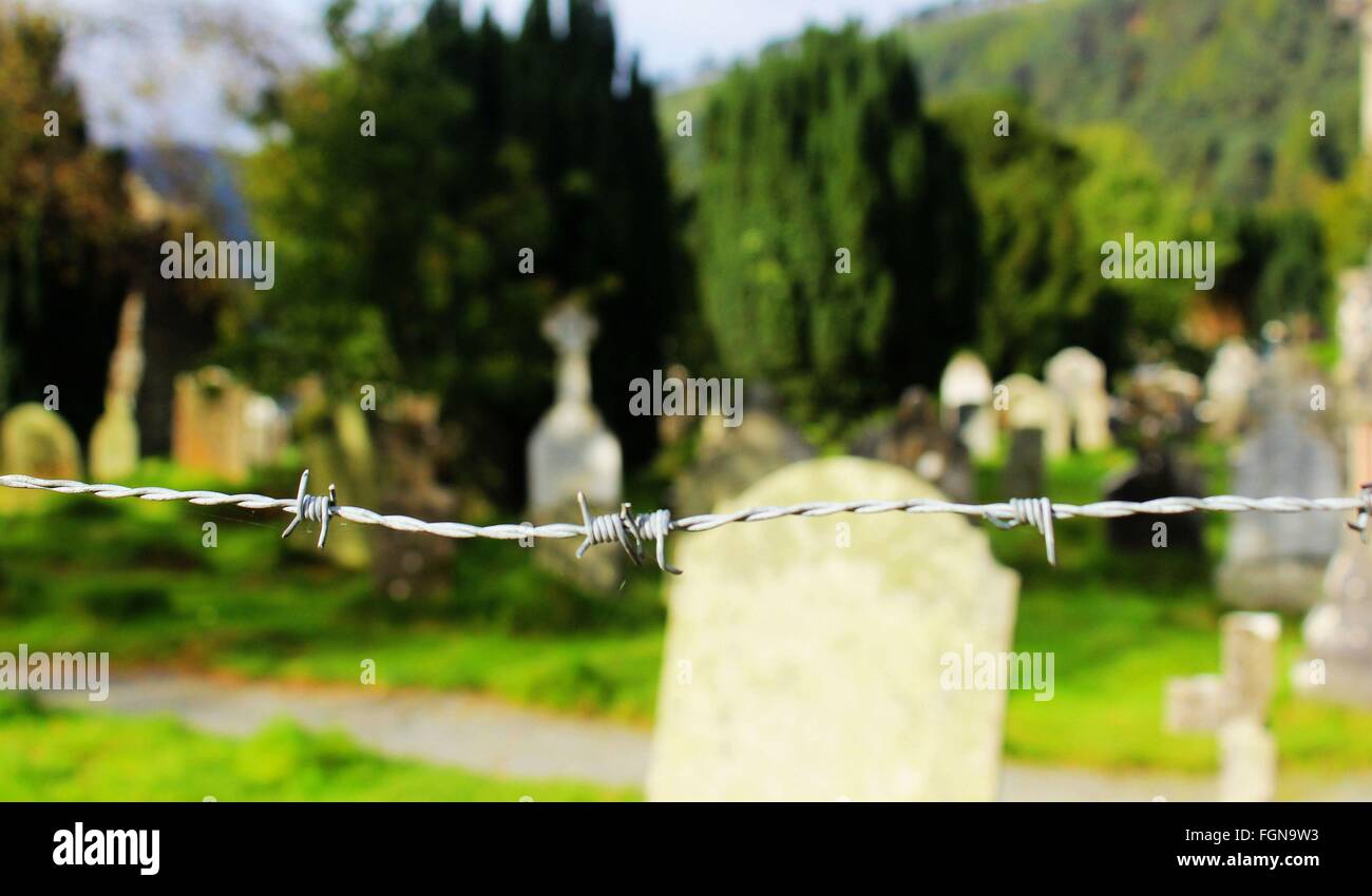 'Barbed', cimetière de l'autre côté de barbwire, prises en République d'Irlande Banque D'Images