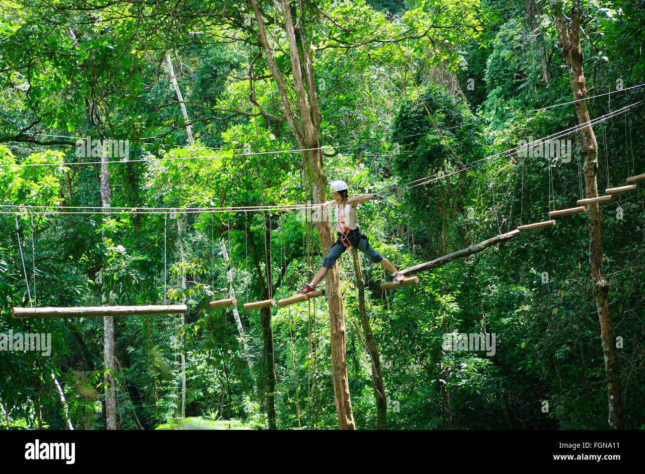 Canopy Walkway tree top adventure dans le sanctuaire écologique, Pirenopolis Vagafogo, Goias, Brésil Banque D'Images