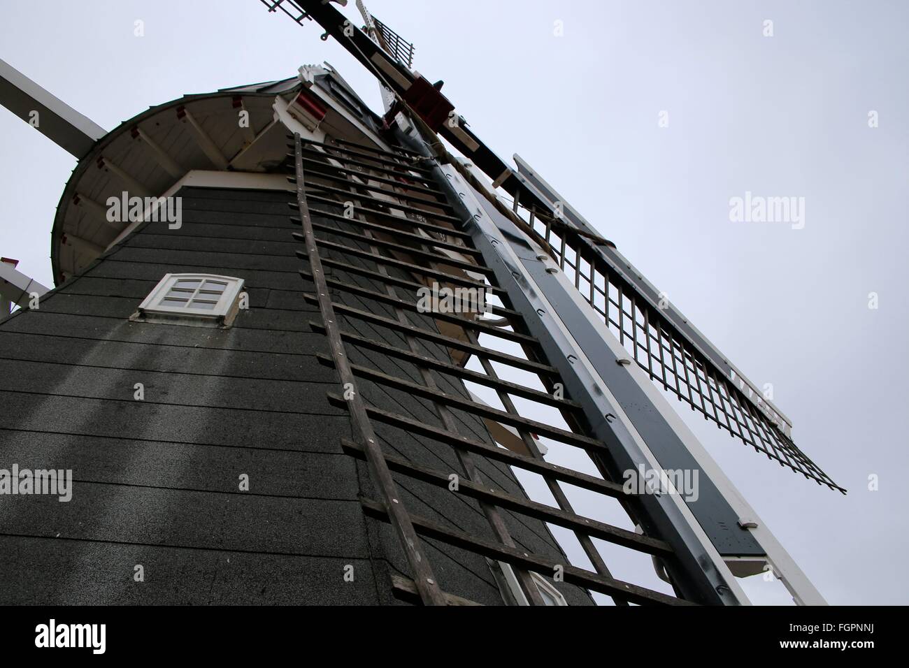 L'Rysumer moulin a été construit en 1895 comme une galerie de deux étages Dutchman. Après un incendie en 1921, il a augmenté d'un étage, pourvu d'un chalut et reconstruit avec des pièces de l'usine et de mise en service. Schafflund, Basse-Saxe mill road, Basse-Saxe, Allemagne, E Banque D'Images