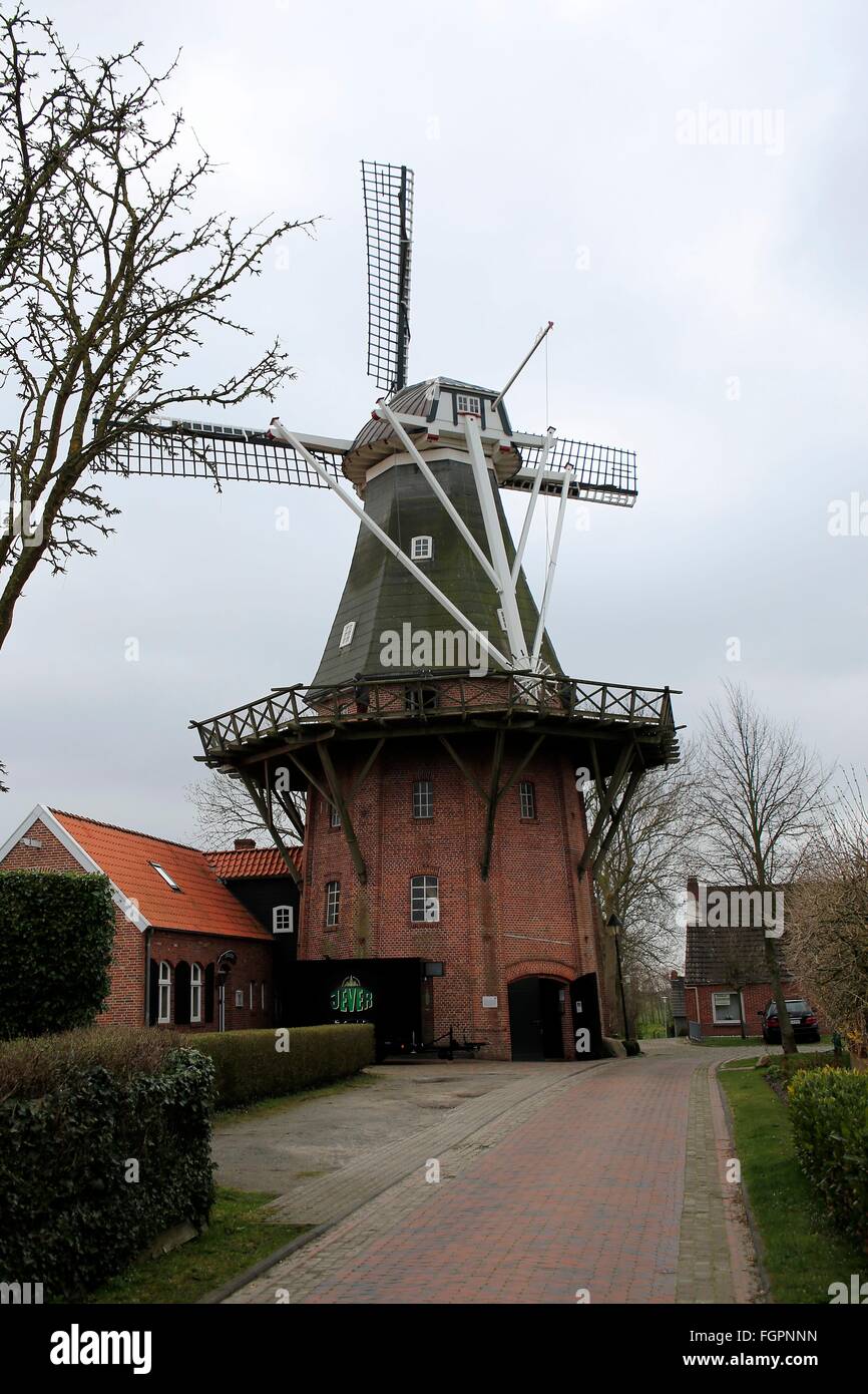 L'Rysumer moulin a été construit en 1895 comme une galerie de deux étages Dutchman. Après un incendie en 1921, il a augmenté d'un étage, pourvu d'un chalut et reconstruit avec des pièces de l'usine et de mise en service. Schafflund, Basse-Saxe mill road, Basse-Saxe, Allemagne, E Banque D'Images