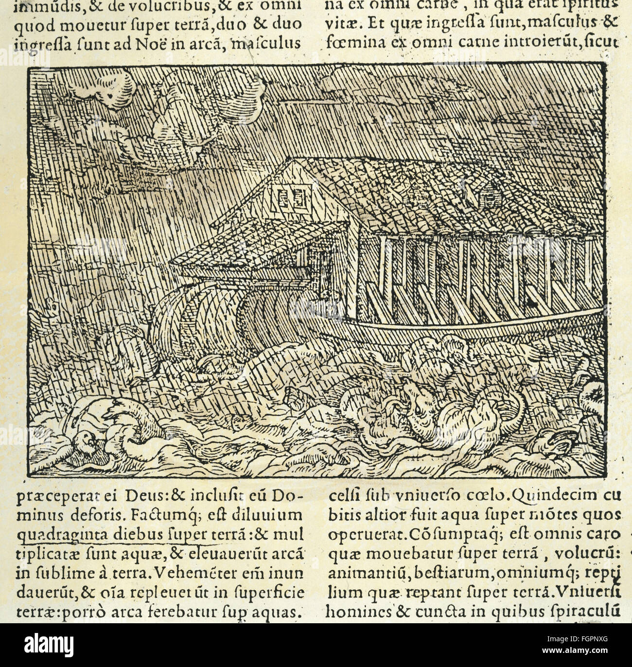 Religion, scènes bibliques, le Deluge, 'Biblia Sacra', imprimé par Jean de  Tournes, Lyon, 1558, collection privée, , droits  additionnels-Clearences-non disponible Photo Stock - Alamy