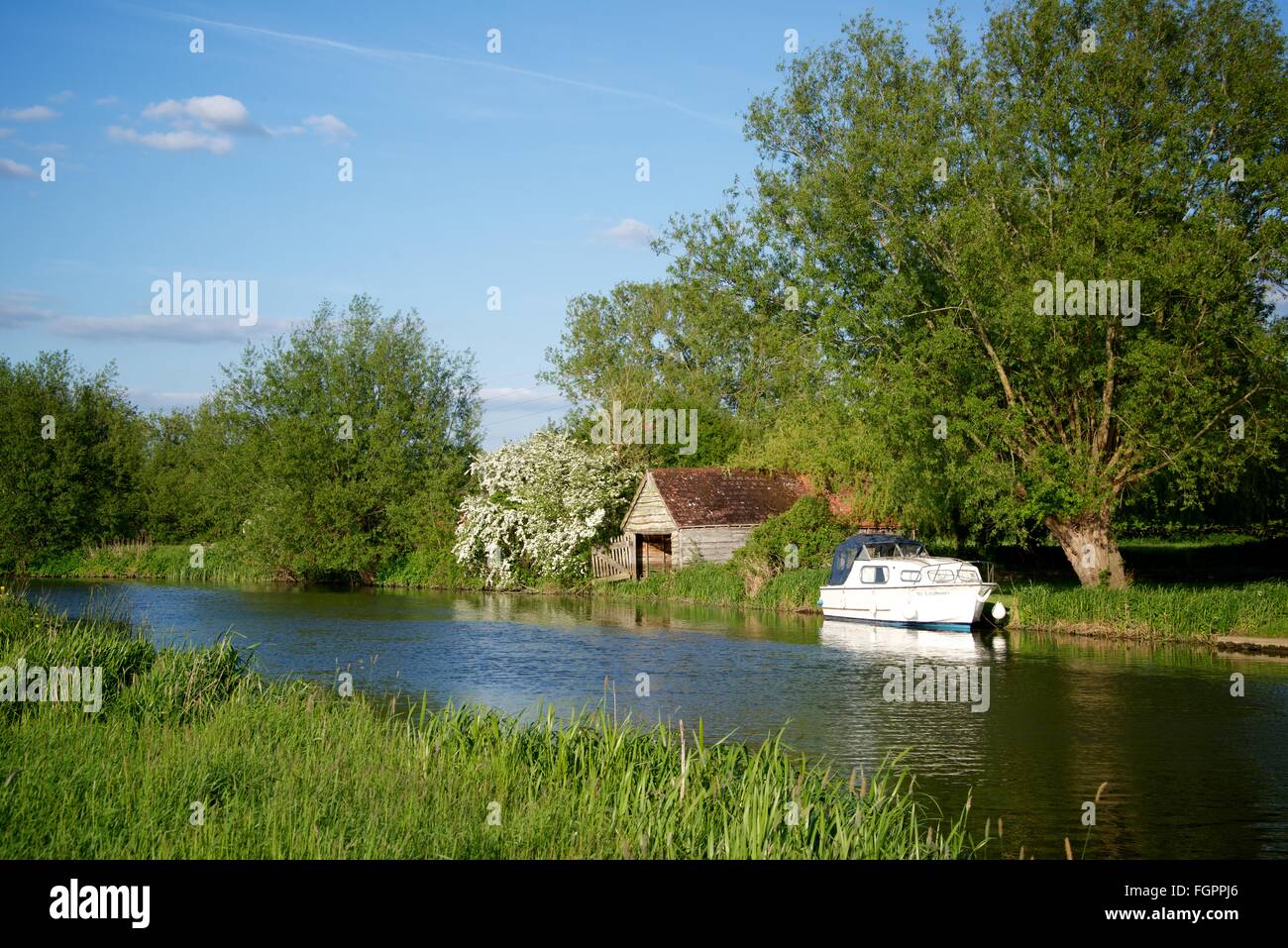 Randonnée à vélo le long de la rivière Thames près de Appleton dans l'Oxfordshire, Angleterre Banque D'Images