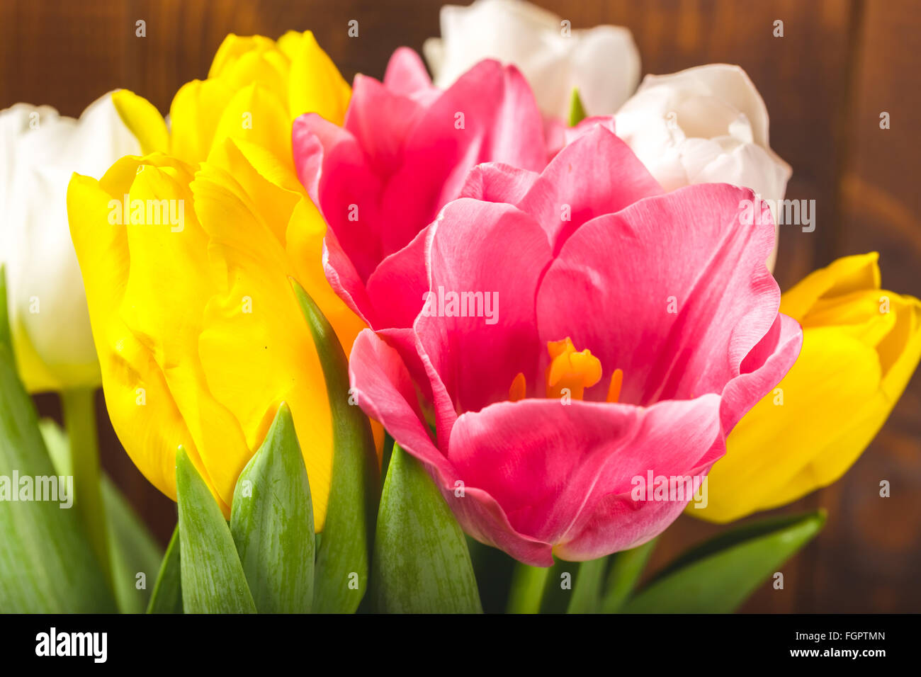 Bouquet de tulipes en face de printemps sur scène le fond de bois. un bouquet de fleurs pour le 8 mars, ou la Saint-Valentin Banque D'Images