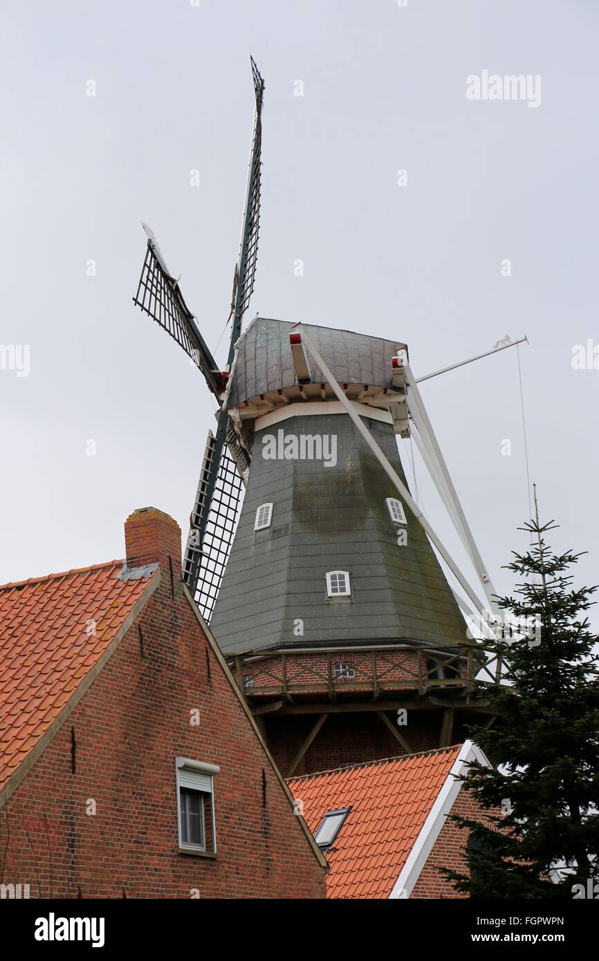 L'Rysumer moulin a été construit en 1895 comme une galerie de deux étages Dutchman. Après un incendie en 1921, il a augmenté d'un étage, pourvu d'un chalut et reconstruit avec des pièces de l'usine et de mise en service. Schafflund, Basse-Saxe mill road, Basse-Saxe, Allemagne, E Banque D'Images