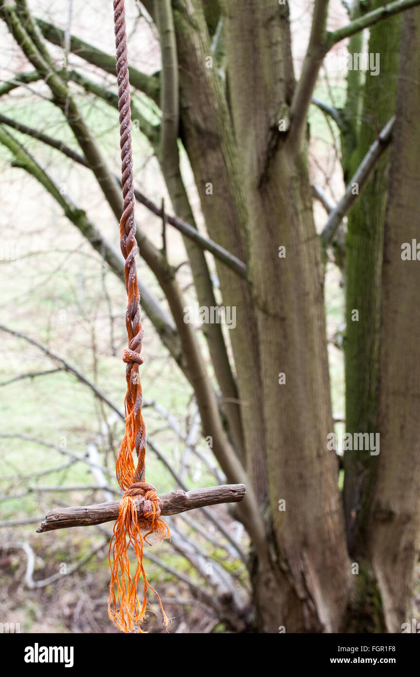 La corde fait maison swing sur un arbre dans la forêt Banque D'Images