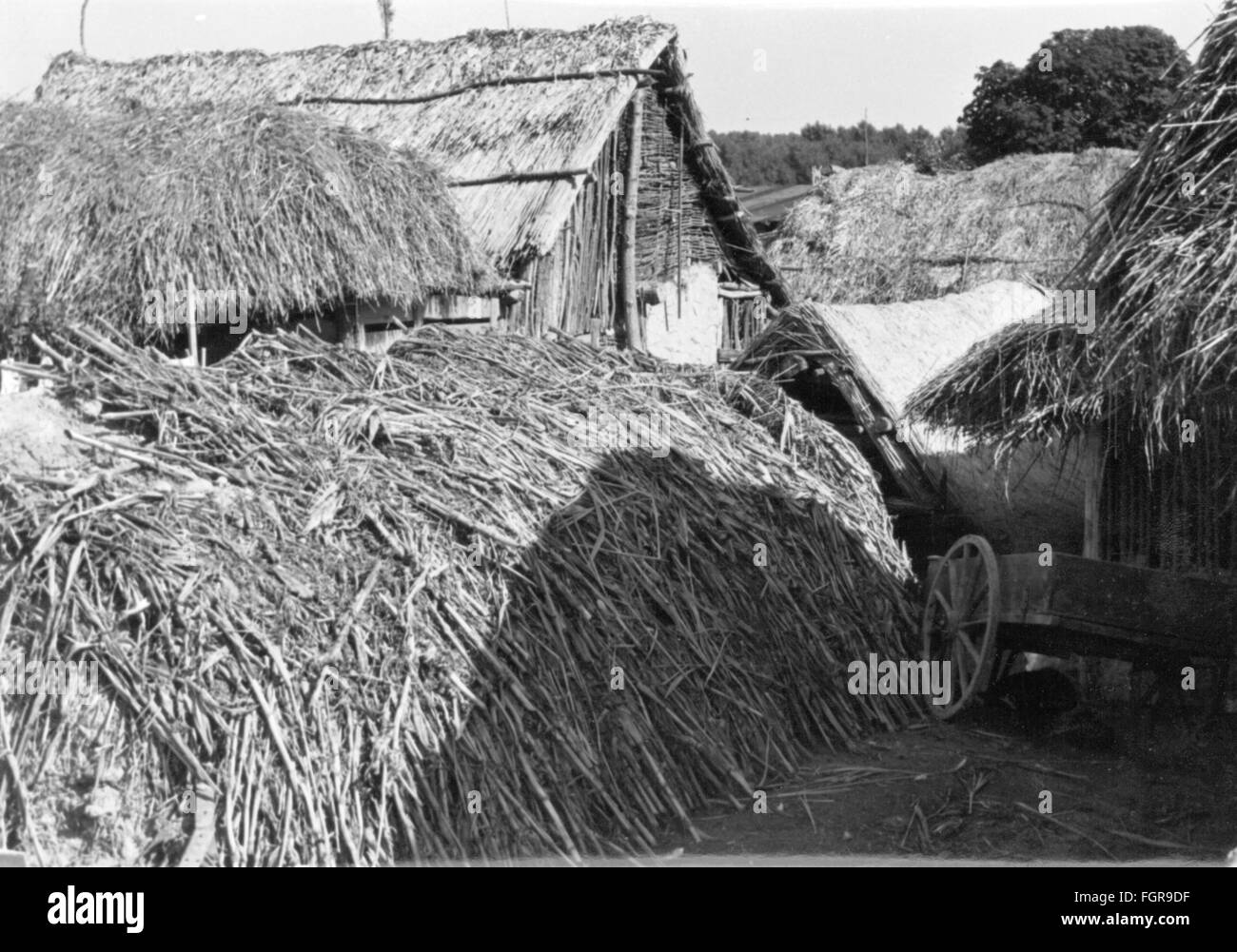 Géographie / Voyage, Allemagne, îles, île de Gruen, village, ferme avec colline de dung, vue, années 1950, droits supplémentaires-Clearences-non disponible Banque D'Images