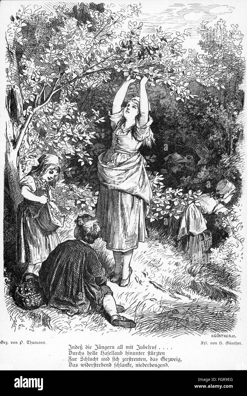 agriculture, culture de fruits, illustration à la ballade 'Enoch Arden' d'Alfred Tennyson, 1864, gravure en bois par H. Guenther après dessin par P. Thumann, traduction par A. Strodtmann, 1875, droits additionnels-Clearences-non disponible Banque D'Images