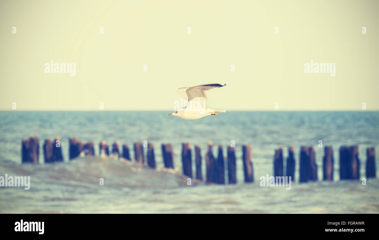 Oiseau stylisé rétro voler au-dessus de la mer, faible profondeur de champ. Banque D'Images