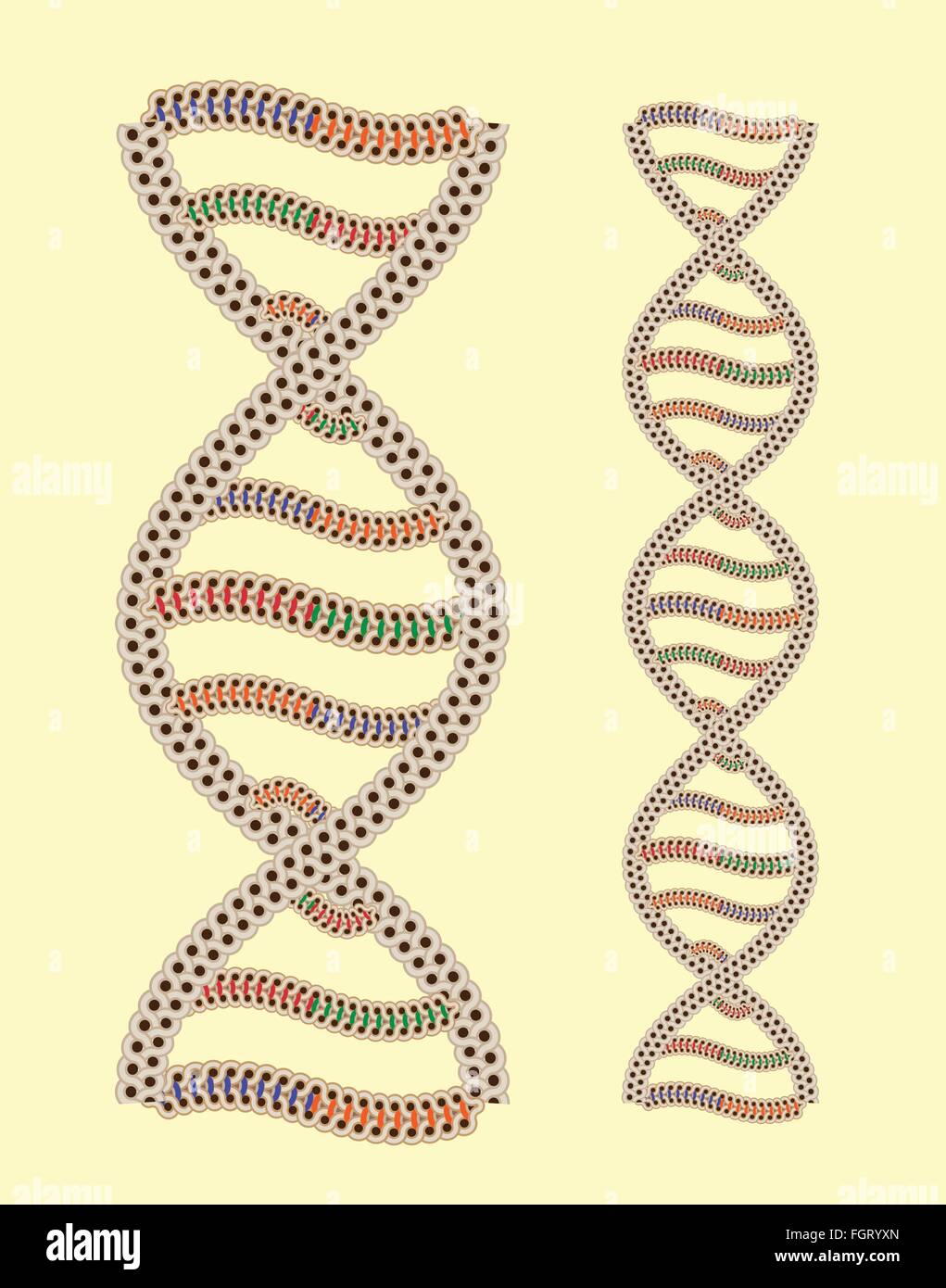 L'ADN vecteur comme ornement grec continue après l'édition rapide Illustration de Vecteur