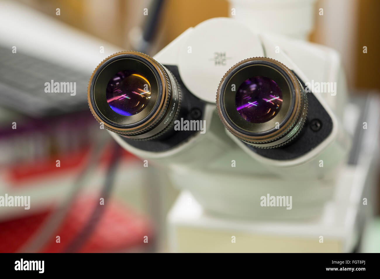 Des lentilles d'un microscope dans un laboratoire de pathologie de l'hôpital. Banque D'Images