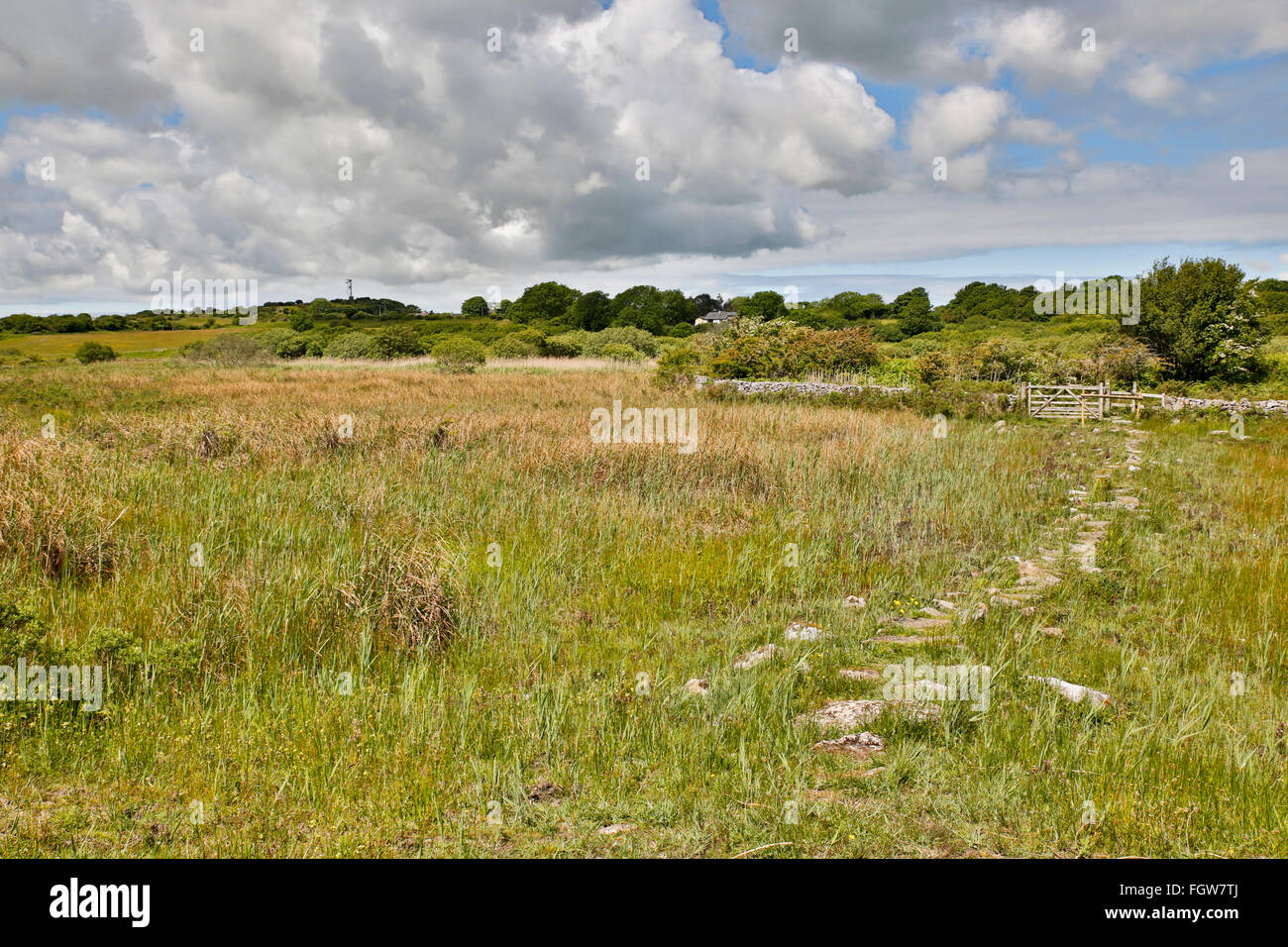 Cors Goch ; Réserve naturelle nationale ; Royaume-Uni ; d'Anglesey Banque D'Images