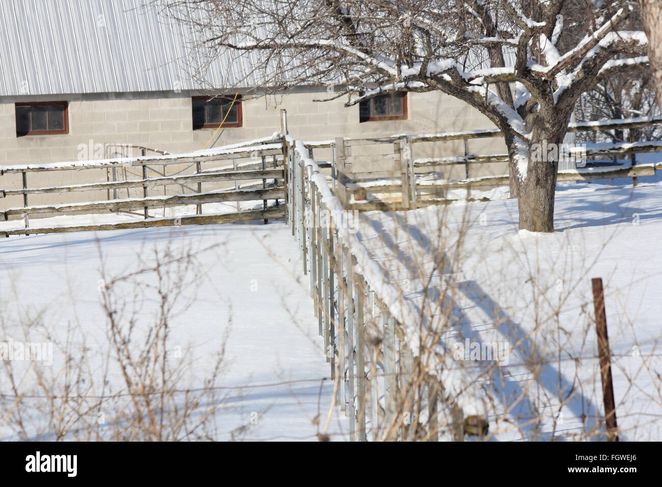 La division d'une clôture rempli de neige corral dans une petite ferme salon Banque D'Images