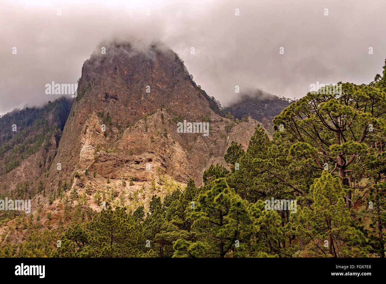 Caldera de Taburiente National Park La Palma Espagne Banque D'Images
