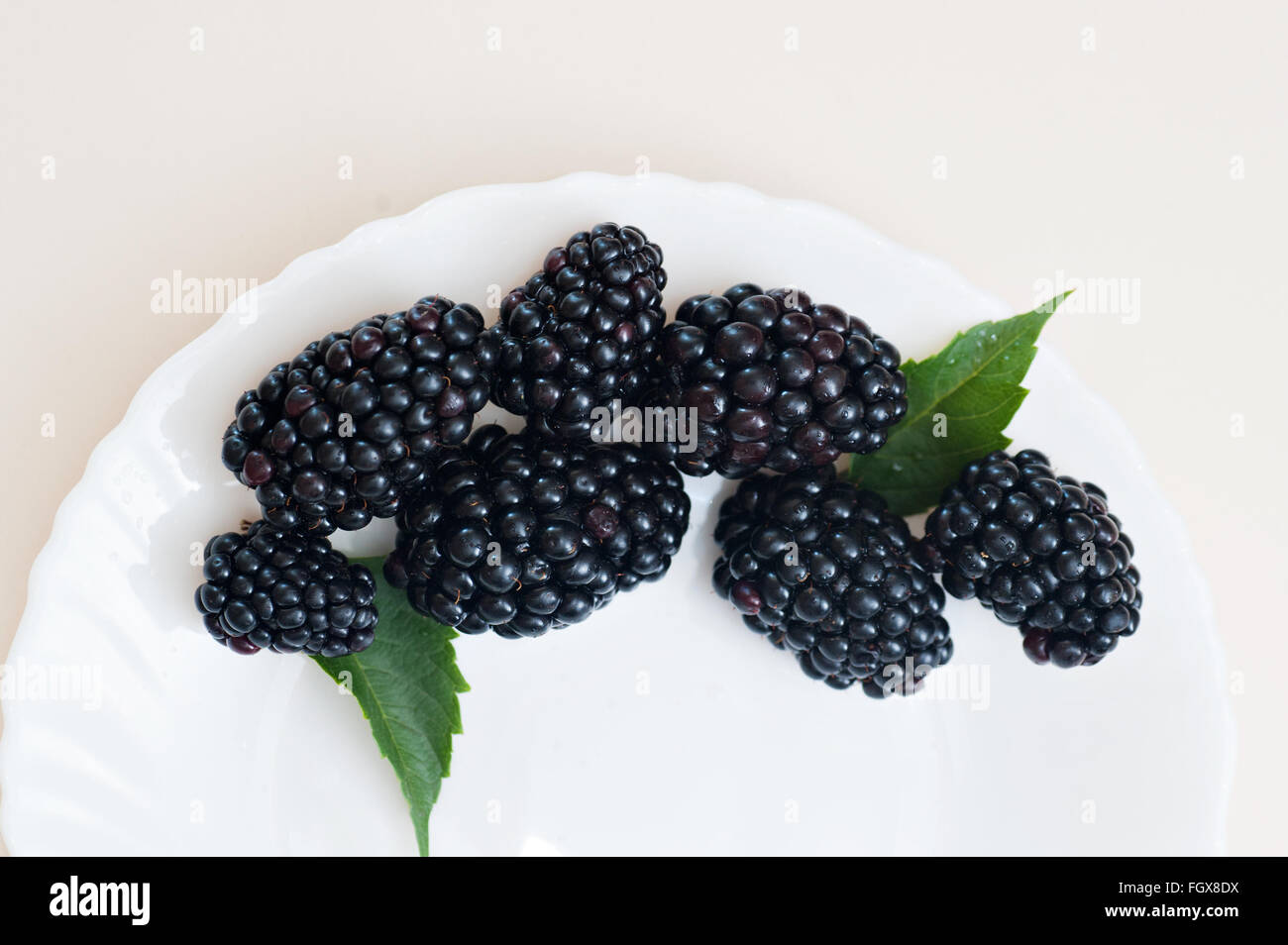 Organique Saine alimentation végétarienne blackberry sweet snack on white plate Banque D'Images