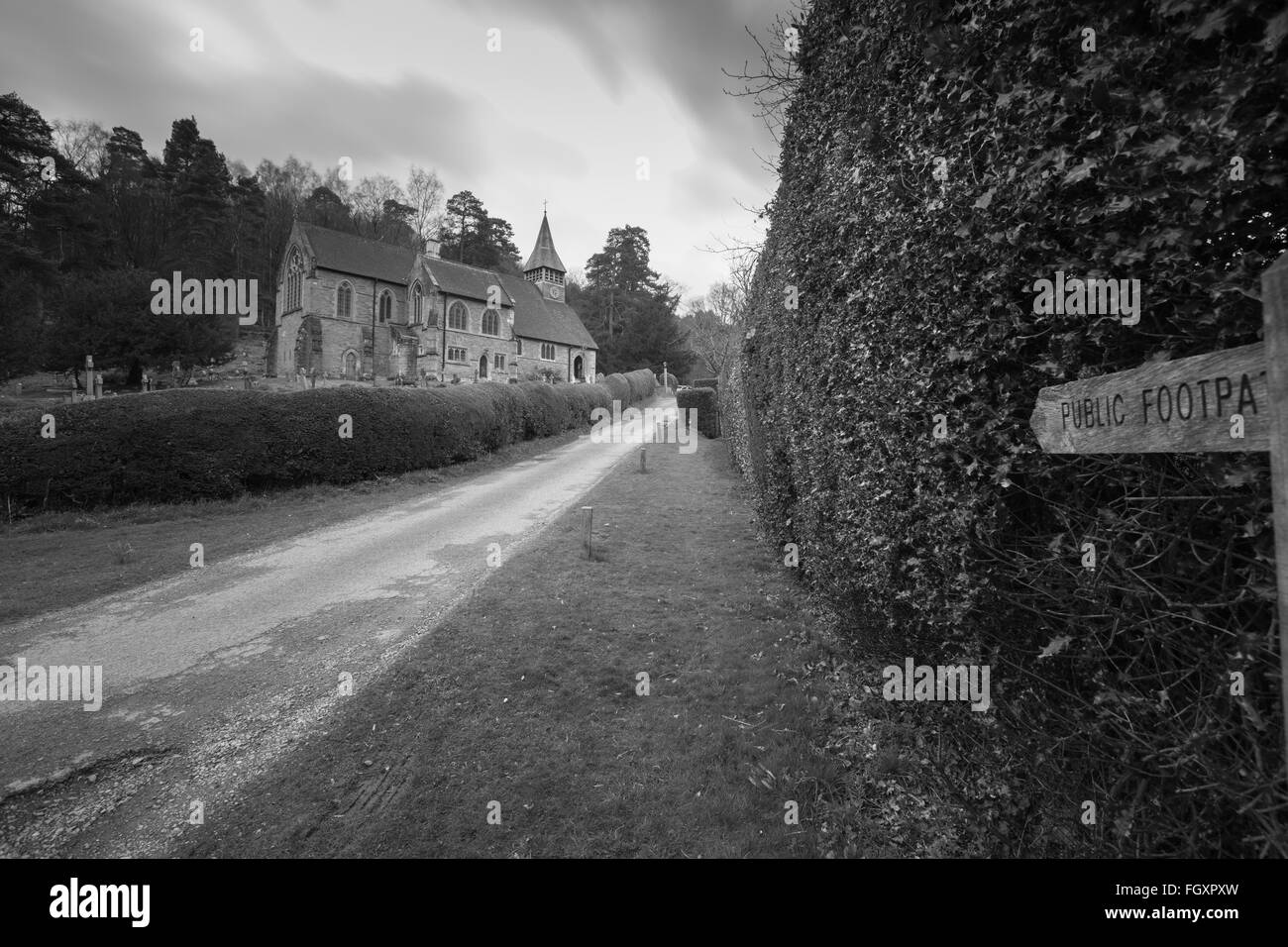 L'église St Mary, Holmbury St Mary Banque D'Images