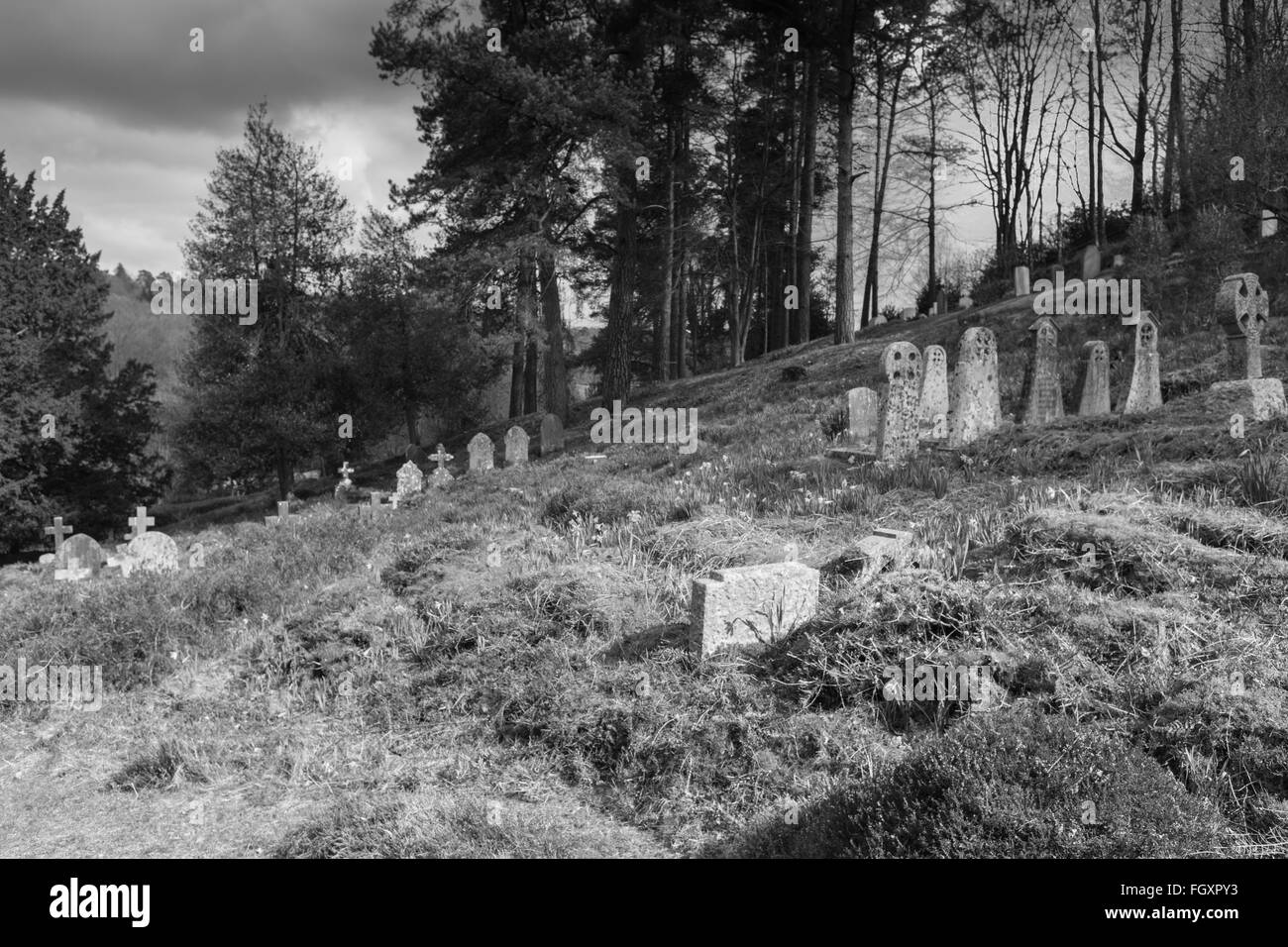 Le cimetière à flanc de Holmbury St Mary. Banque D'Images