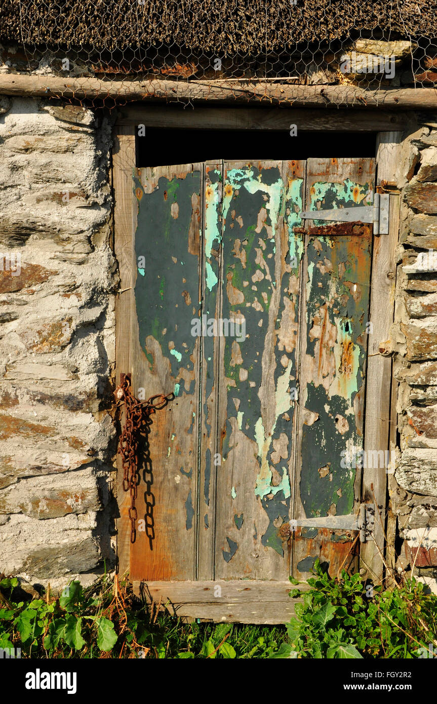 Ancienne porte peinte avec raccords rouillés sur la cabane de pêcheur de chaume, crique de Prusse, Cornwall UK Banque D'Images