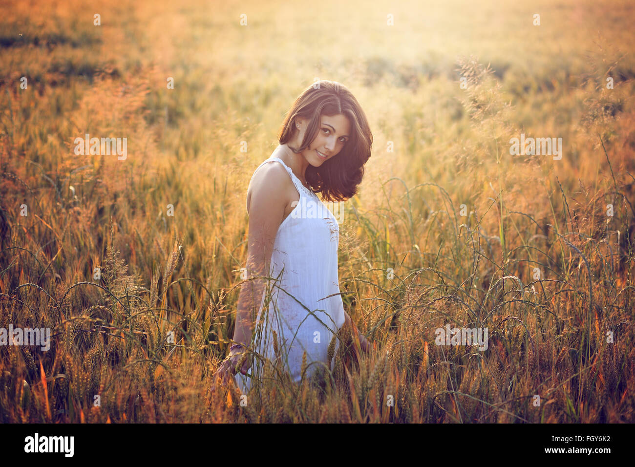 Belle jeune femme dans un champ d'été. Portrait de la lumière au coucher du soleil chaud Banque D'Images