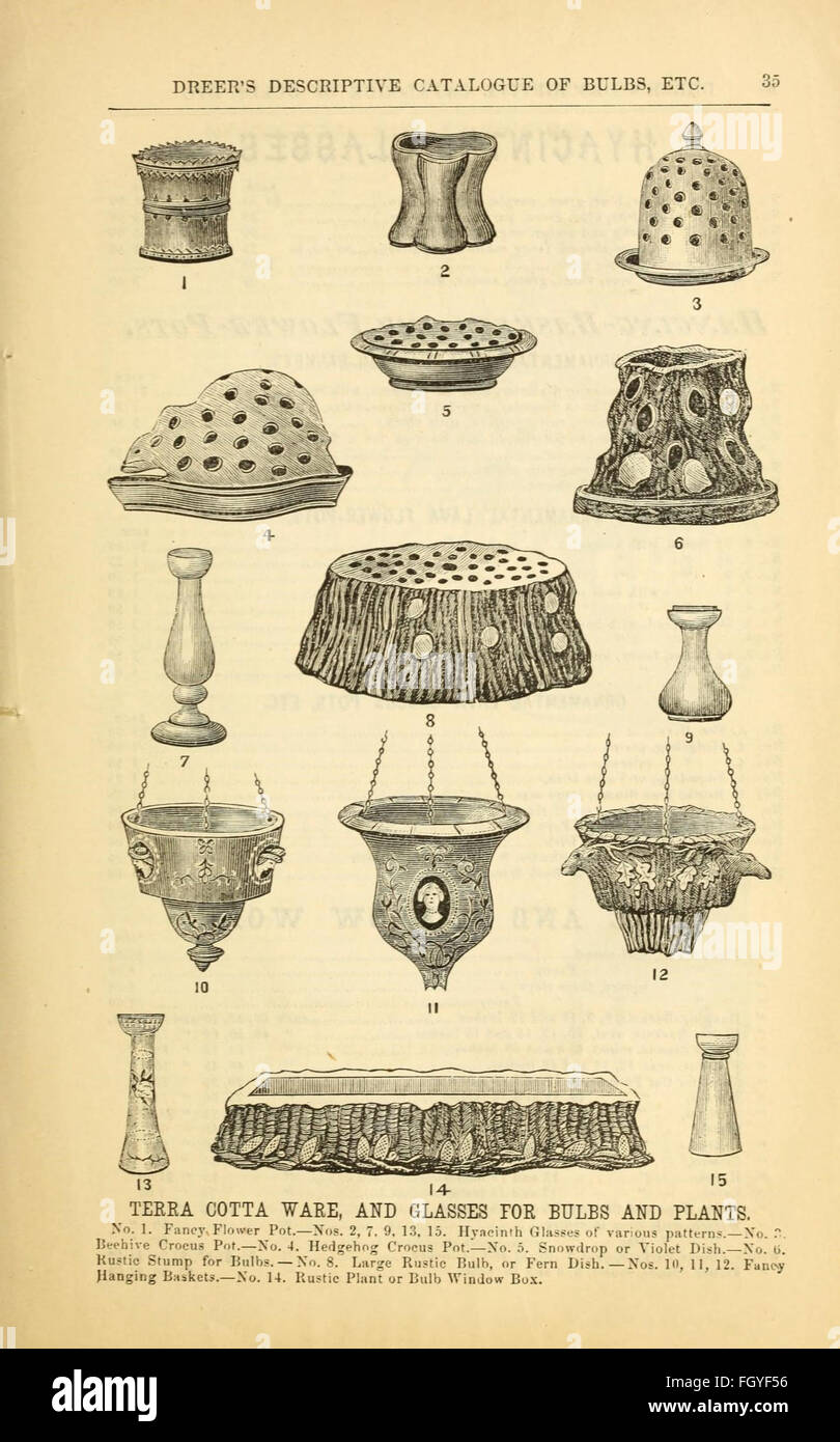 Dreer's catalogue descriptif de bulbes, plantes, etc. Banque D'Images