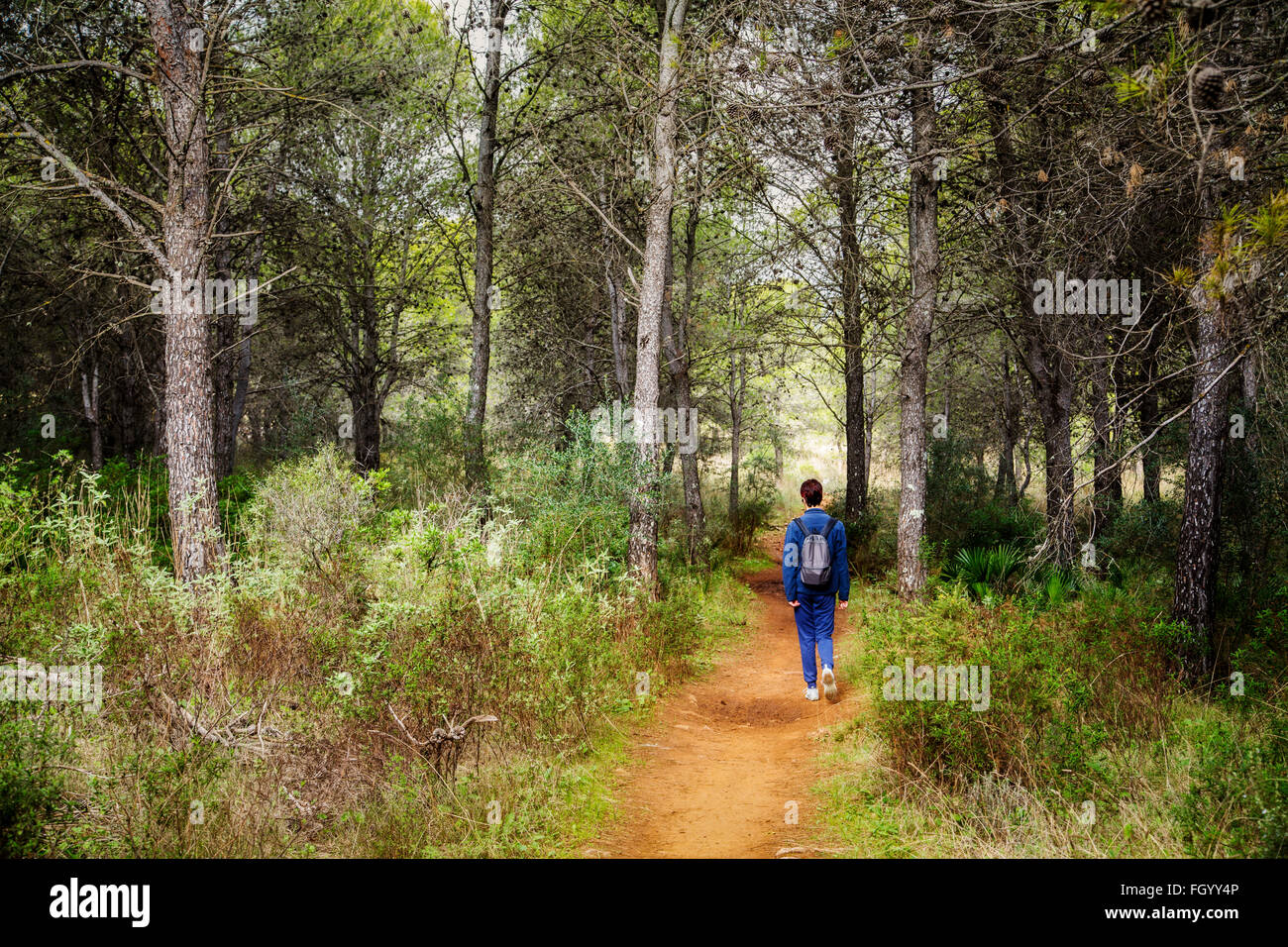 Femme marchant le long d'une piste en forêt des montagnes de Mijas, Malaga province Costa del Sol. L'Andalousie, sud de l'Espagne Banque D'Images