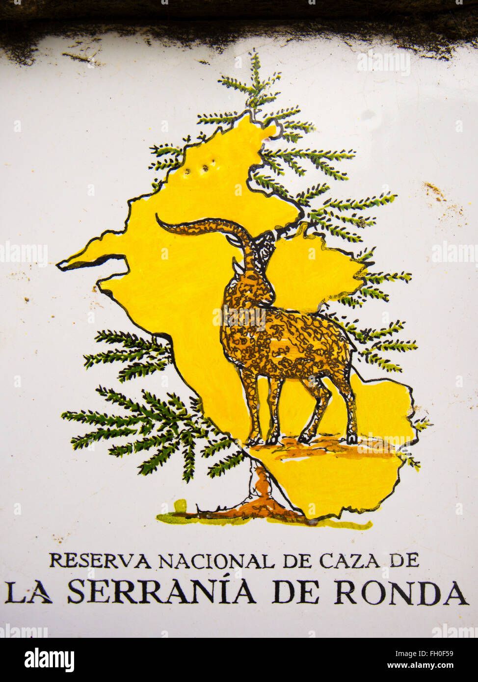 Les carreaux de céramique, Serrania de Ronda jeu national reserve, le ROEJ. La province de Malaga, Costa del Sol. Andalousie le sud de l'Espagne Banque D'Images