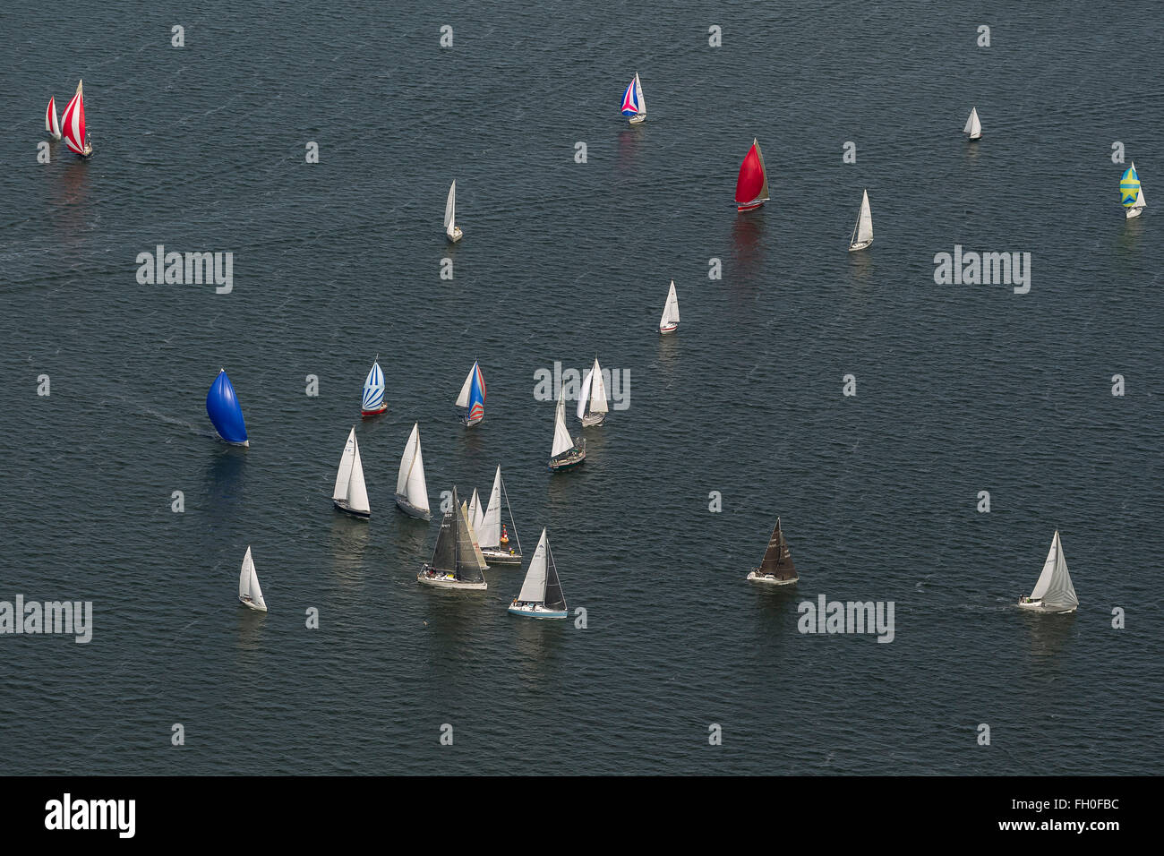 Vue aérienne, régate de voile sur la baie de Greifswald, voiliers, tourner, tourner la bouée, Stove, Rügen, Mecklembourg-Poméranie-Occidentale, Banque D'Images