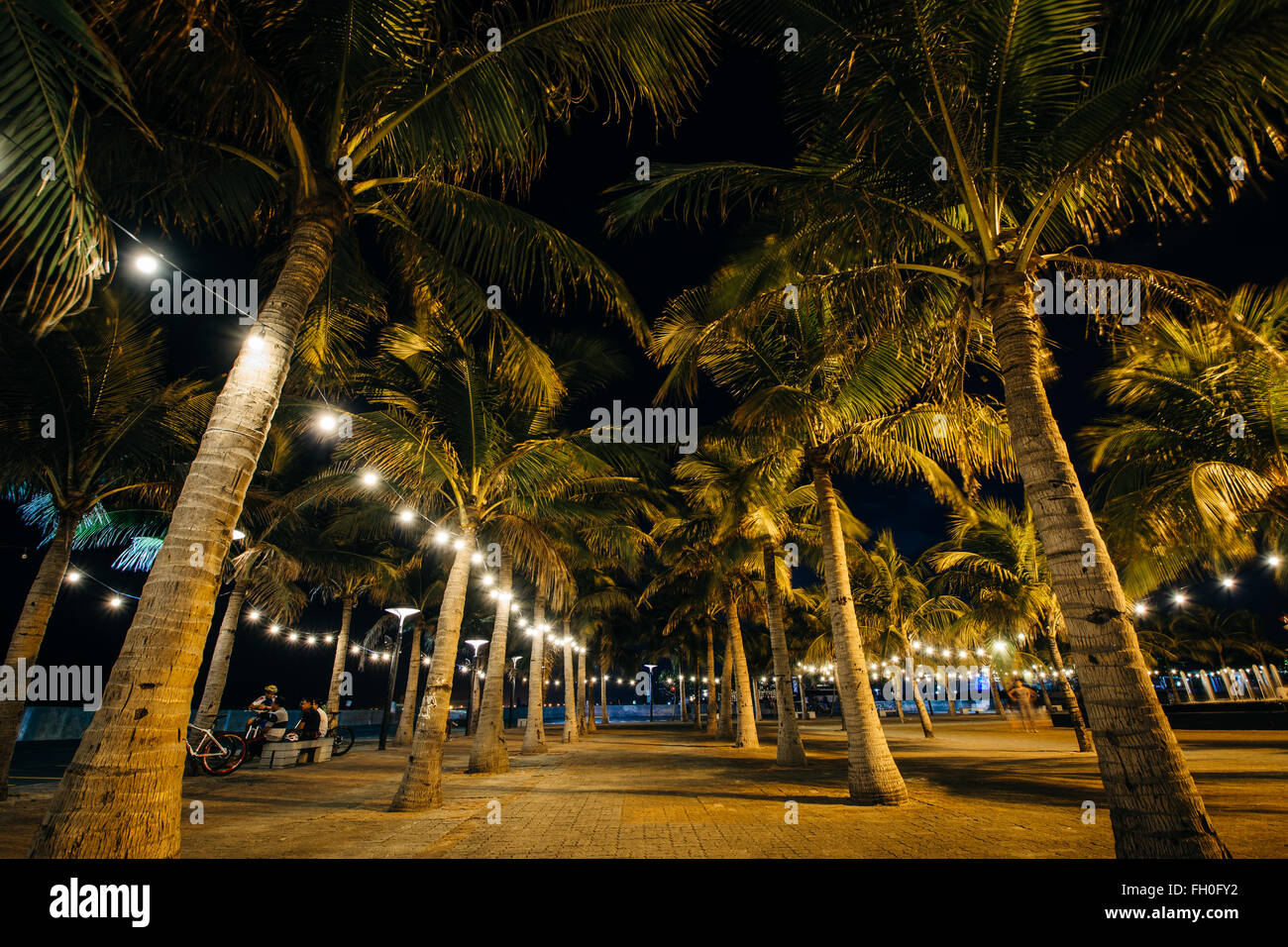 Palmiers dans la nuit, à Pasay, Metro Manila, Philippines. Banque D'Images