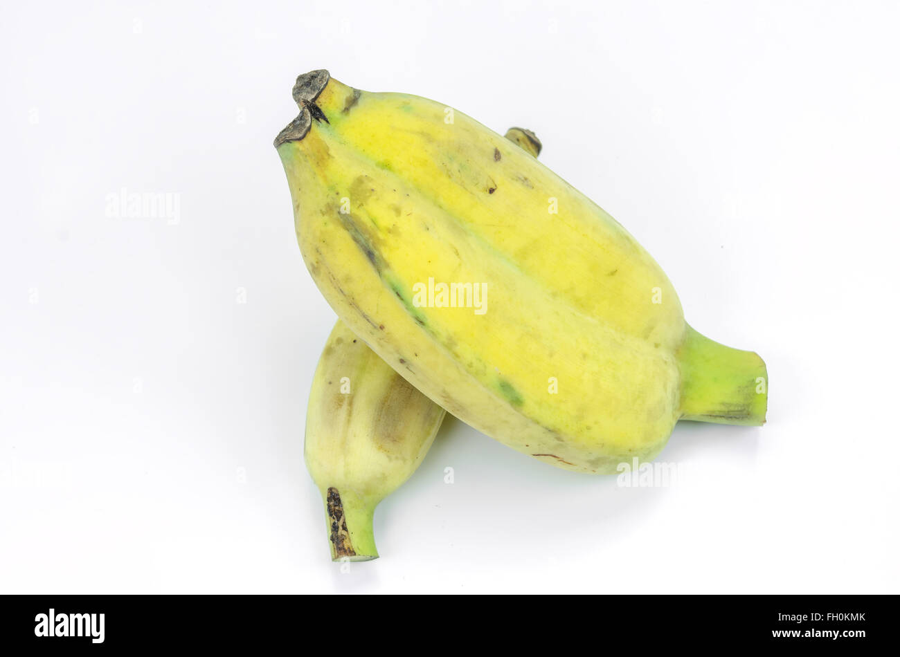 Pisang awak, banane Kluai Nam Wa, cultiver la banane sur fond blanc. Banque D'Images