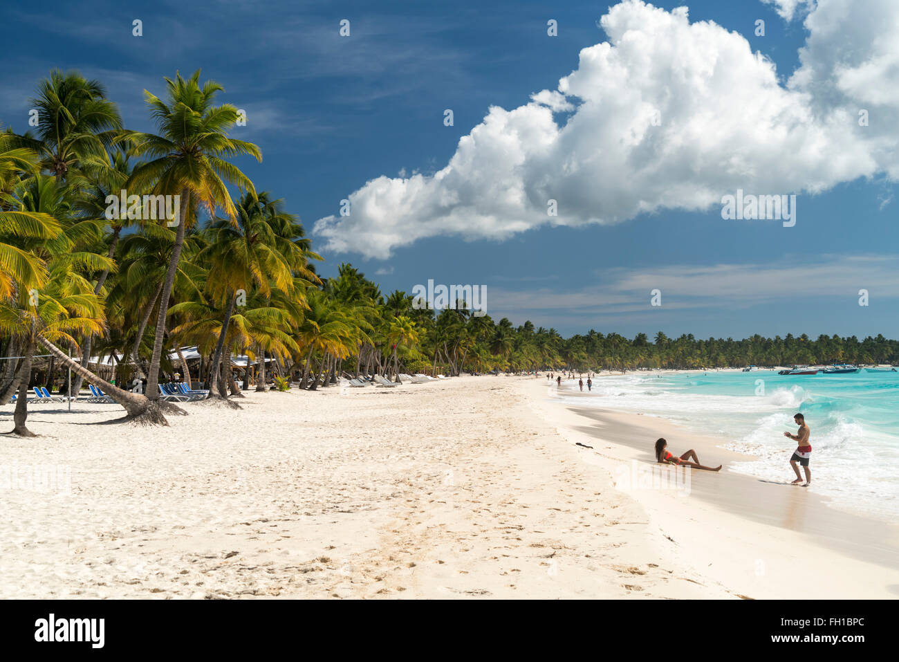 Plage de rêve sur l'île des Caraïbes Isla Saona, en République Dominicaine, Caraïbes, Amérique Latine, Banque D'Images