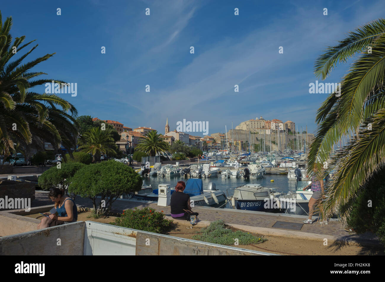 Vue sur le port de plaisance et de la citadelle. Calvi. La corse. La France. L'Europe Banque D'Images