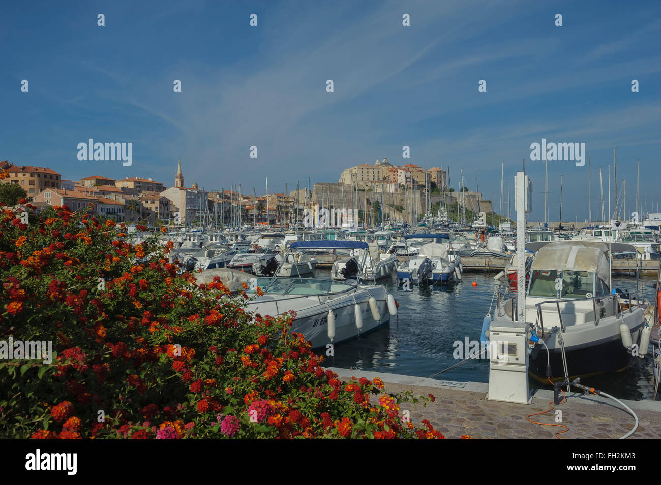 Vue sur le port de plaisance et de la citadelle. Calvi. La corse. La France. L'Europe Banque D'Images