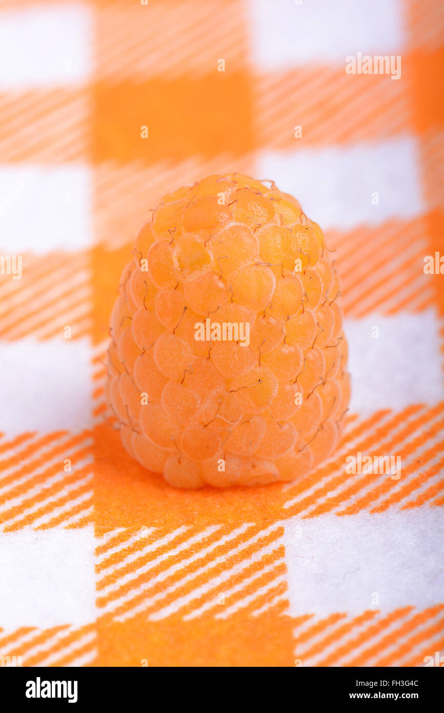 Close up de framboises jaune Banque D'Images