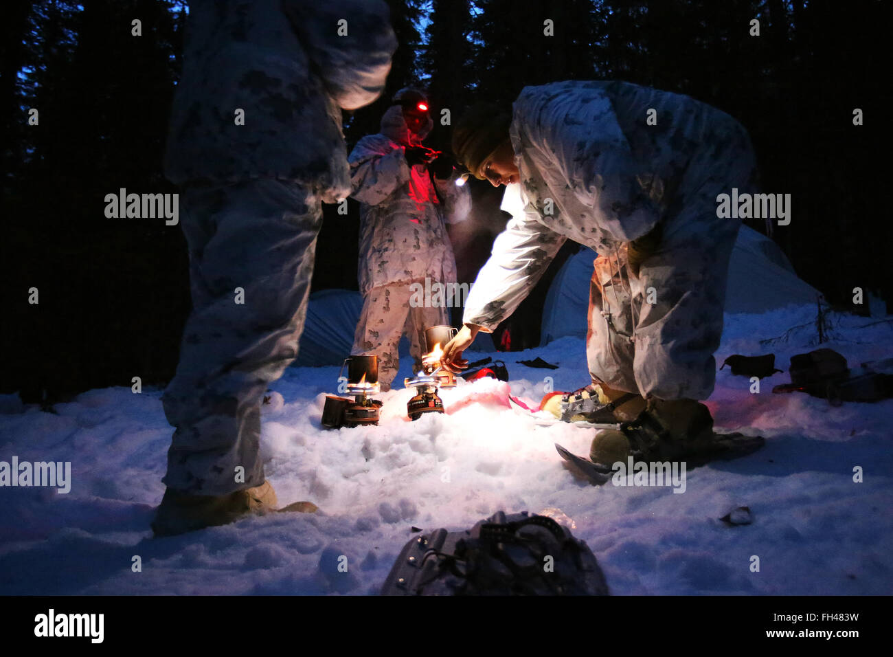 Un groupe de Marines américains affectés à la compagnie interarmes de Bulgarie utilise de petits brûleurs pour faire fondre la neige dans l'eau comme l'unité met en place le camp pour la nuit. Cette société est composé de plusieurs véhicules avec plusieurs fonctionnalités, y compris les véhicules d'assaut amphibie, M1A1 Abrams des chars de combat et des véhicules blindés. Dans les semaines qui ont précédé l'exercice Cold Response 16, à la fin du mois, les deux nations ont mené la formation bilatérale pour améliorer la capacité du Corps des Marines des États-Unis pour l'exploitation par temps froid. L'exercice mettra en vedette les forces maritimes, terrestres, un Banque D'Images