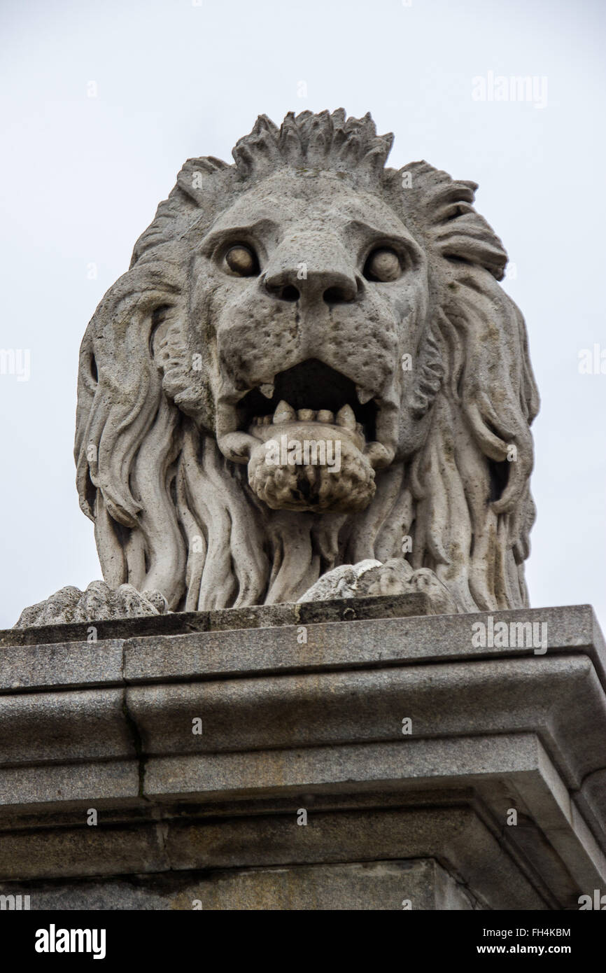 C'est l'une des quatre statues de lion qui saluer les gens comme ils voyage à travers le pont à chaînes dans le centre de Budapest. Banque D'Images