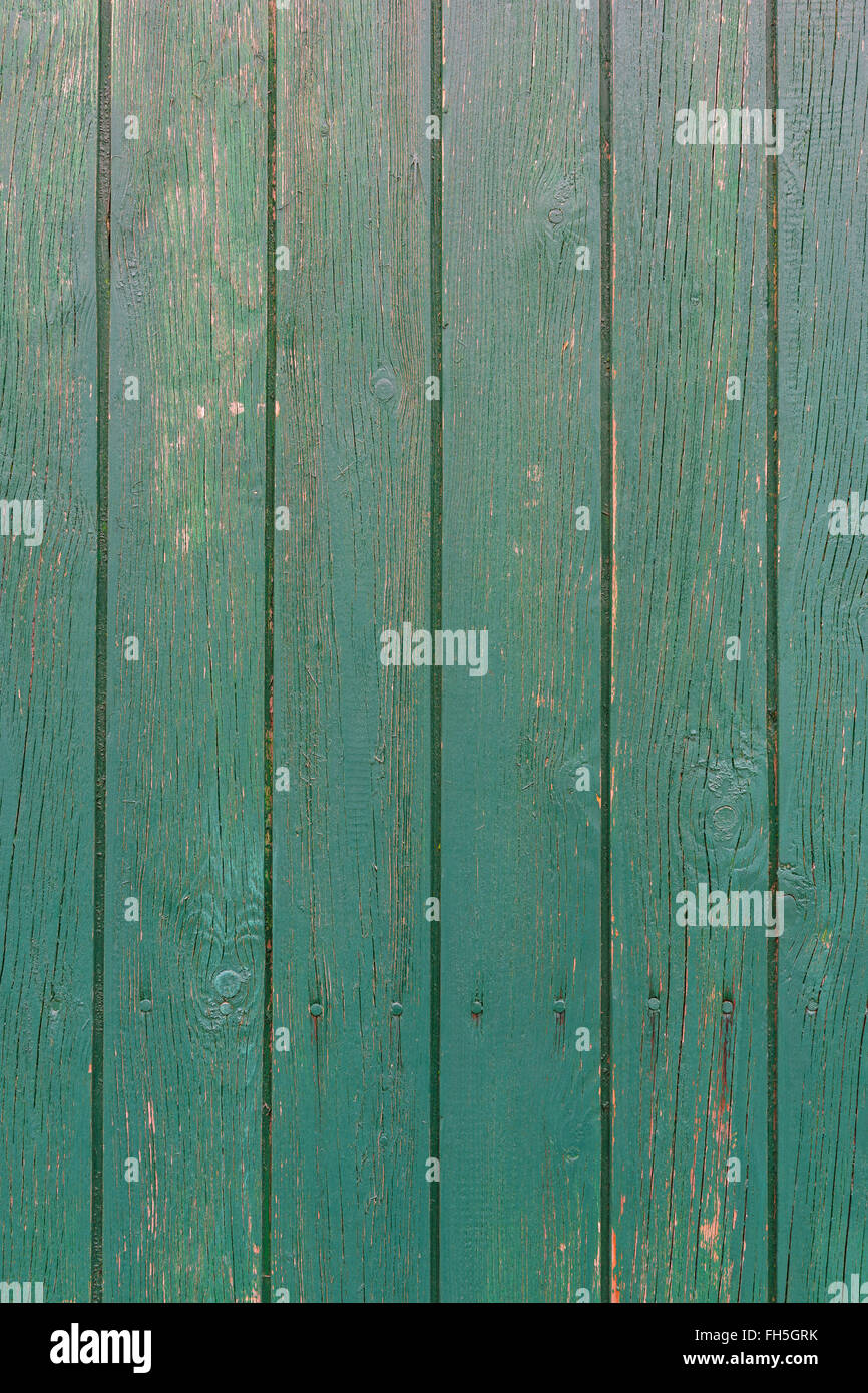 Close-up of barn boards peints en vert, Odenwald, Hesse, Allemagne Banque D'Images