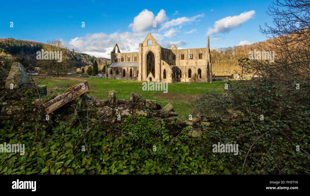 Abbaye de Tintern dans la vallée de la Wye, dans le sud du Pays de Galles vue à travers un trou dans un mur de champ Banque D'Images