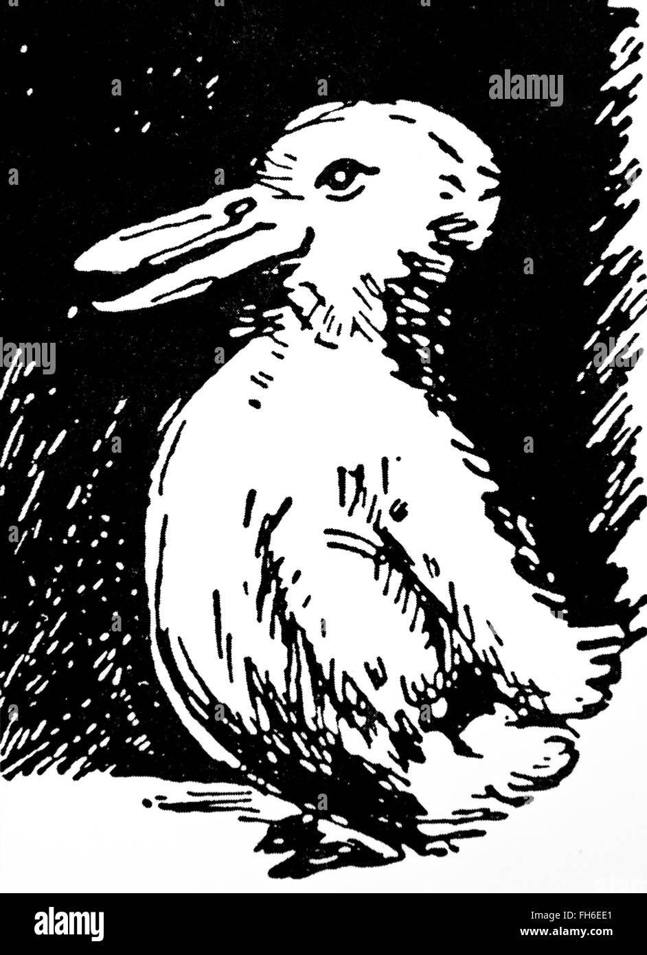 Le Canard Et Le Lapin Par Le Psychologue Joseph Jastrow 30 Janvier 1863 8 Janvier 1944 En 1900 Photo Stock Alamy