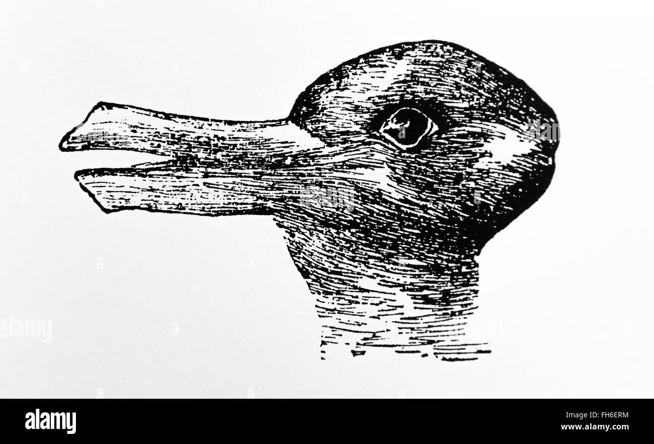 Le Canard Et Le Lapin Par Le Psychologue Joseph Jastrow 30 Janvier 1863 8 Janvier 1944 En 1900 Photo Stock Alamy Le Canard Et Le Lapin Par Le Psychologue Joseph Jastrow 30 Janvier 1863 8 Janvier 1944 En 1900 Photo Stock Alamy