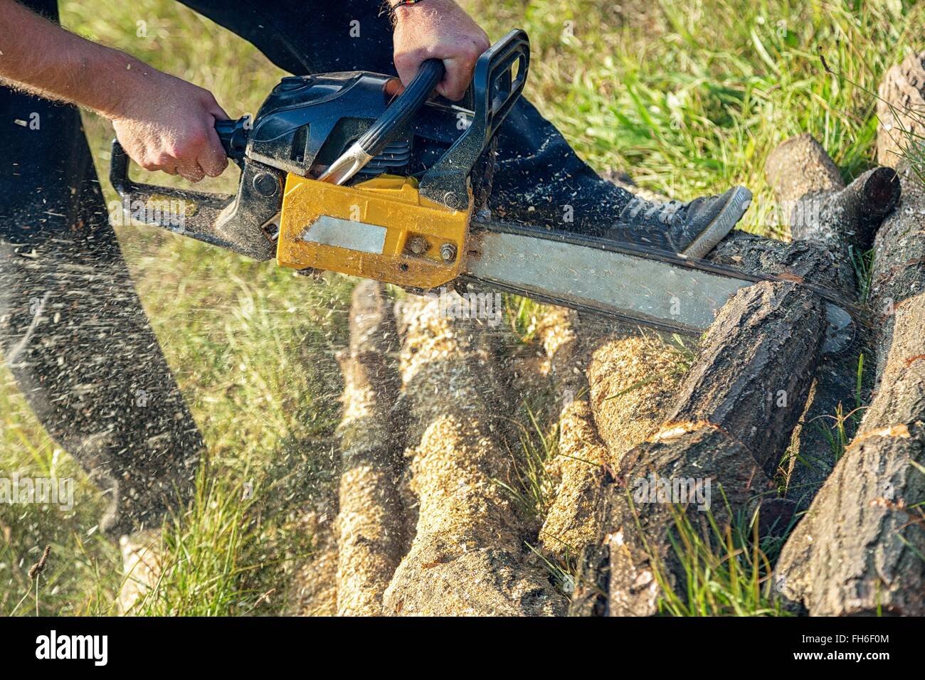 Tronçonneuse professionnelles fonctionnant à l'essence, Banque D'Images